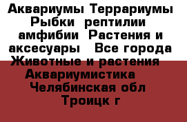 Аквариумы.Террариумы.Рыбки, рептилии, амфибии. Растения и аксесуары - Все города Животные и растения » Аквариумистика   . Челябинская обл.,Троицк г.